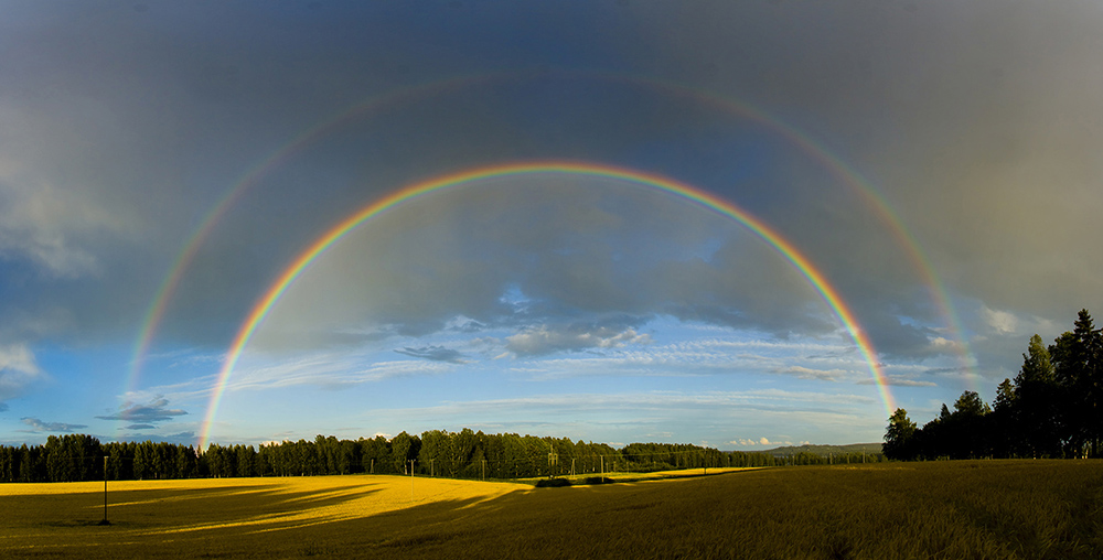 Smile -Double Rainbow