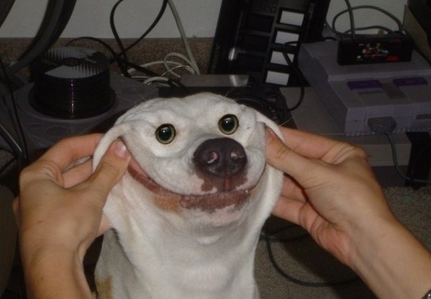 Smile -Goofy Dog