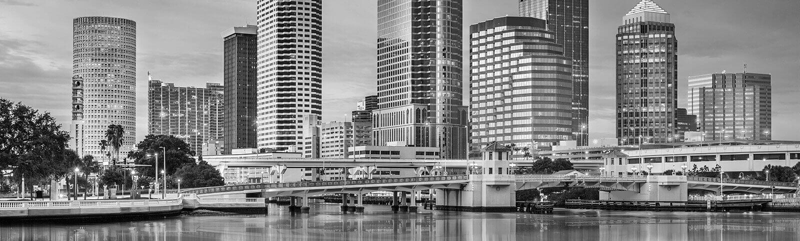 Tampa Cityscape